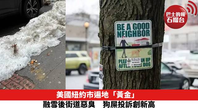 美國紐約市遍地「黃金」　融雪後街道惡臭　狗屎投訴創新高